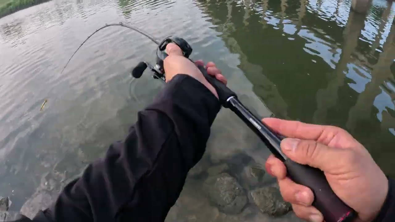 4K Bass Fishing Live Streaming Highlight in USA River Megabass Shimano Metanium DC Jackall KSK BAITS