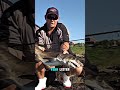 Shark Fishing in South Africa! #fishing