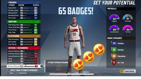 Most Badge Build On NBA 2k20! (65!)