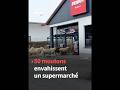 50 moutons envahissent un supermarché en Allemagne
