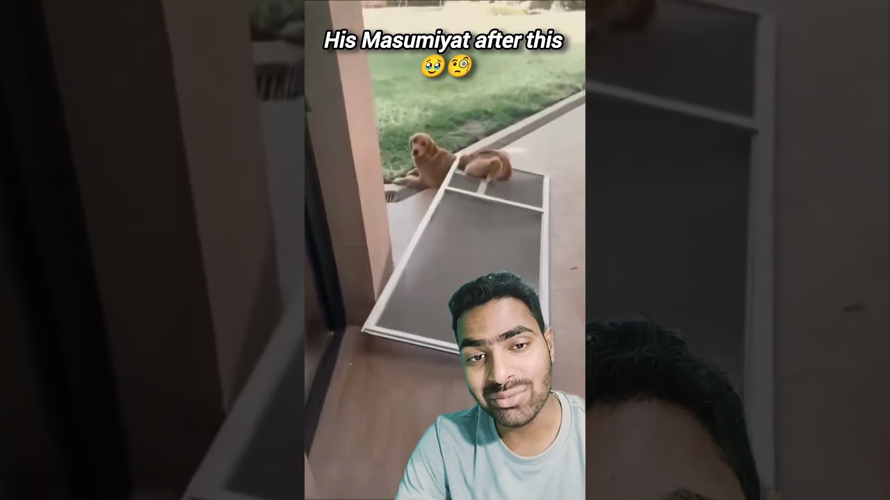 Aatmanirbhar Dogesh Bhai 🐕 😘 cute dog why fear when God is here 🥹 positive vibes ♥️