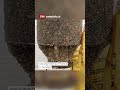 Can the spread of invasive quagga mussels be stopped in Switzerland?