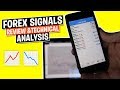 Forex U 4