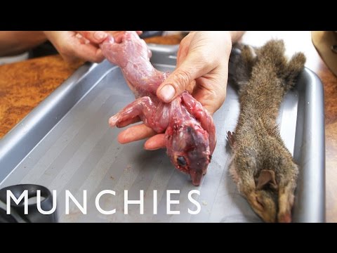 MUNCHIES Presents: Roadkill Connoisseur