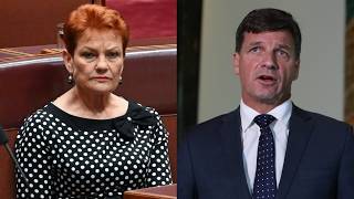 Libs' reluctance to admit they need One Nation is ‘understandable’ but they must ‘tread carefully’