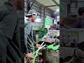 Best Vegetable Processing System : Ultra Fast Leek Peeling Flow