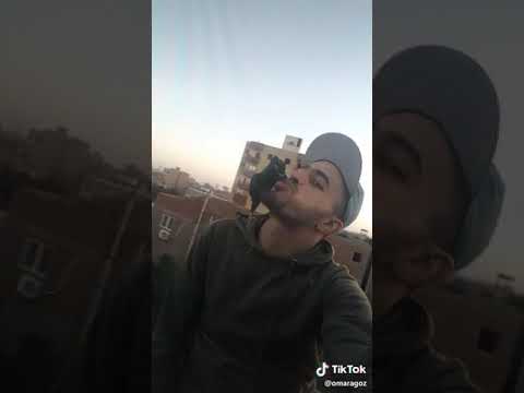 اغنية هزفر موس