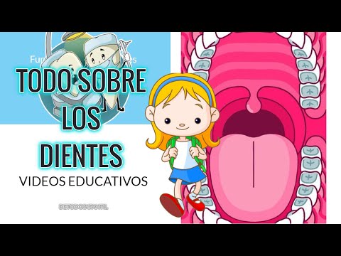 LOS DIENTES: QUE SON? FUNCIONES,ENFERMEDADES Y CUIDADOS /VIDEOS PARA PREESCOLAR Y PRIMARIA