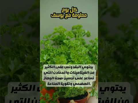 يحتوي البقدونس على الكثير من الفيتامينات والمعادن   معلومة مع يوسف معلومة مع يوسف