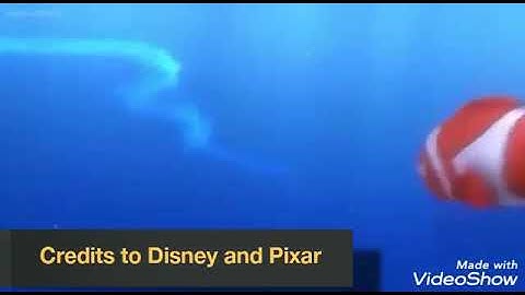 Finding Nemo: Jellyfish scene