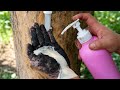 Survival Skills SIMPLE And USEFUL save SOAP in Water #camping #outdoors #bushcraft #survival