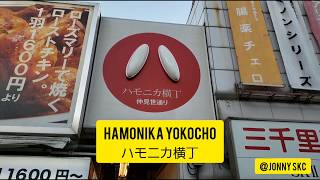 Harmonica Alley (Hamonika Yokocho) Kichijoji - Tokyo, Japan 2020 Tokyo Travel Tour ｢ハモニカ横丁｣ - 吉祥寺