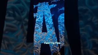 Field Trip Vlog: Science Museum