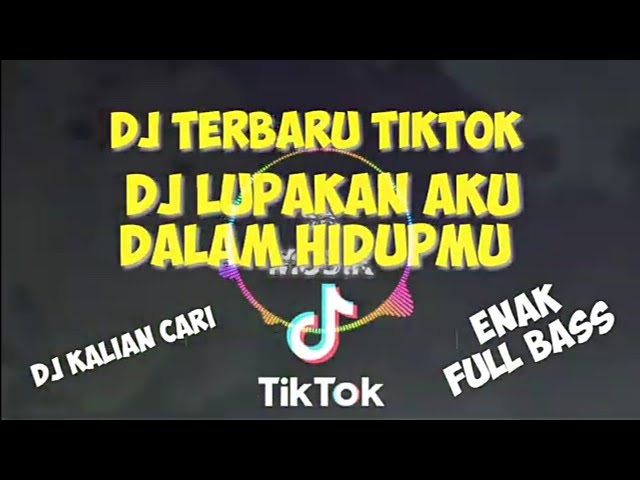 DJ TERBARU TIKTOK - DJ LUPAKAN AKU DALAM HIDUPMU class=