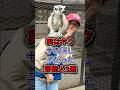 実はヤクザの隠し子だった芸能人3選 #佐々木希 #安達哲実
