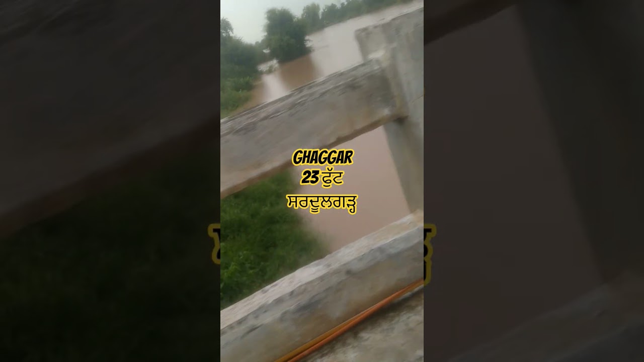 ghaggar river sardulgarh update 