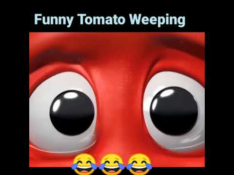 Funny Crying Tomato |Crying Tomato Song and Video 😂😂 #shorts #funny videos#funny