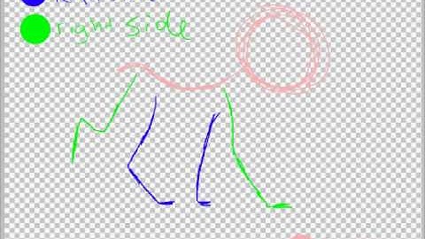 Animation Nation-Step-by-Step Walk Cycle Tutorial part 1/5