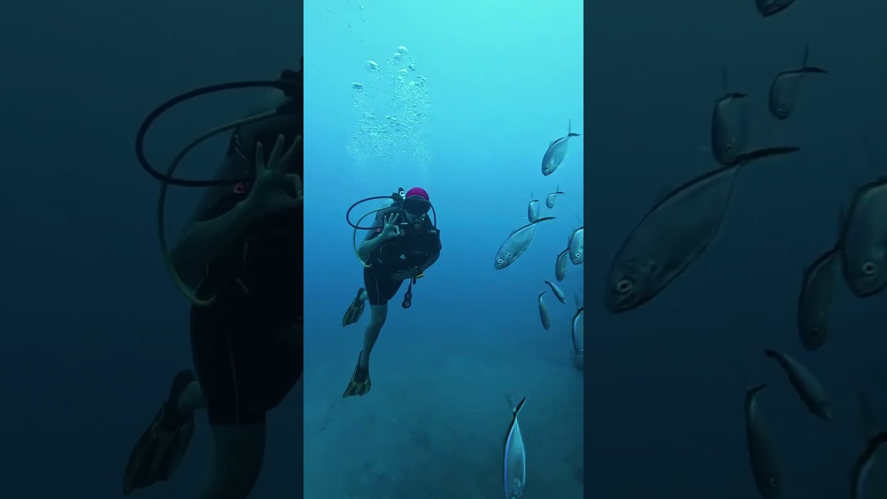 Zingara Wreck - Sosua Bay