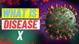 What Is Disease X And What Are The Plans To Stop It ?