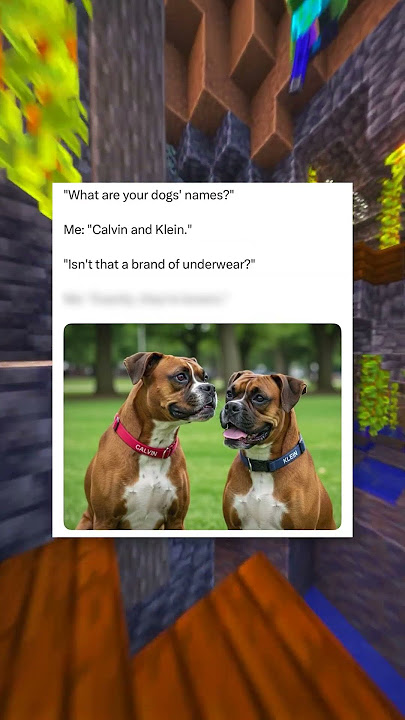 Pun Memes