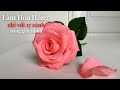 Diy Paper Flower | Làm Hoa Hồng 17 cánh bằng giấy nhún| Giáng Sinh Handmade