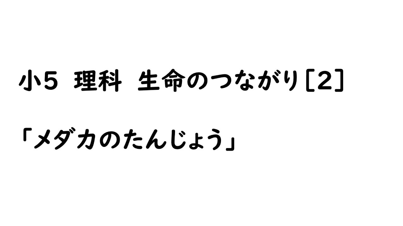 小５理科 メダカのたんじょう Youtube