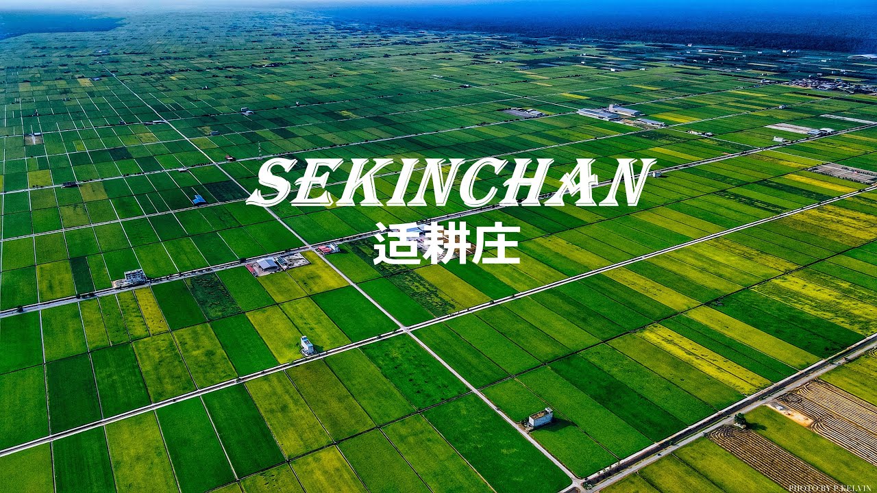 Sekinchan , Selangor 鱼米之乡 适耕庄 - YouTube