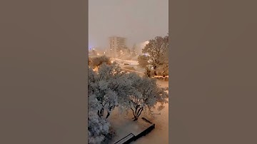 اللهم صلي وسلم وبارك على سيدنا محمد وعلى آله وصحبه وسلم #تلاوة_هادئ #إسلام_صبحي #غزه #quran 💘💔🇵🇸❤🇵🇸💔