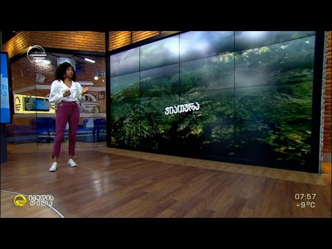 ამინდის პროგნოზი - 6 აპრილი