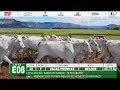 LOTE E08