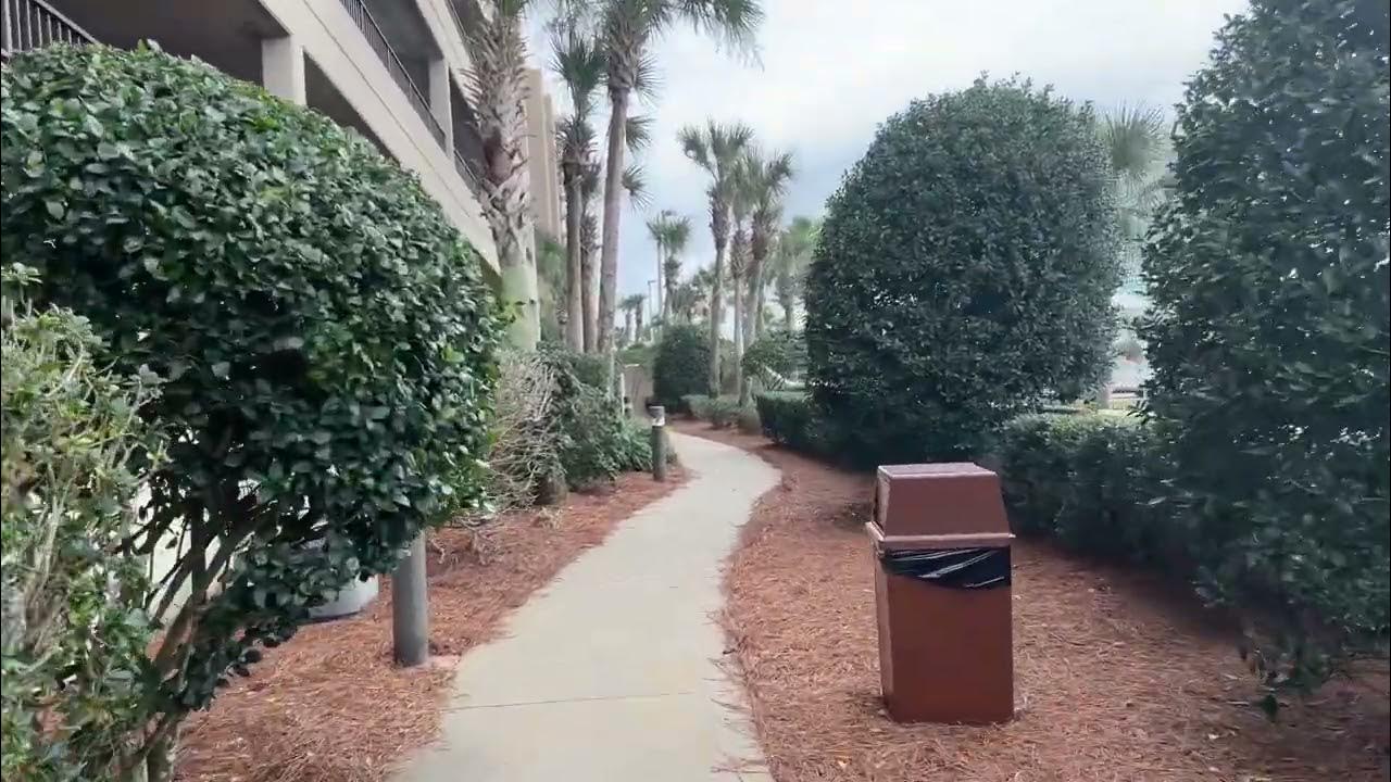 Phoenix X Condos Orange Beach, Alabama Near the FloraBama 