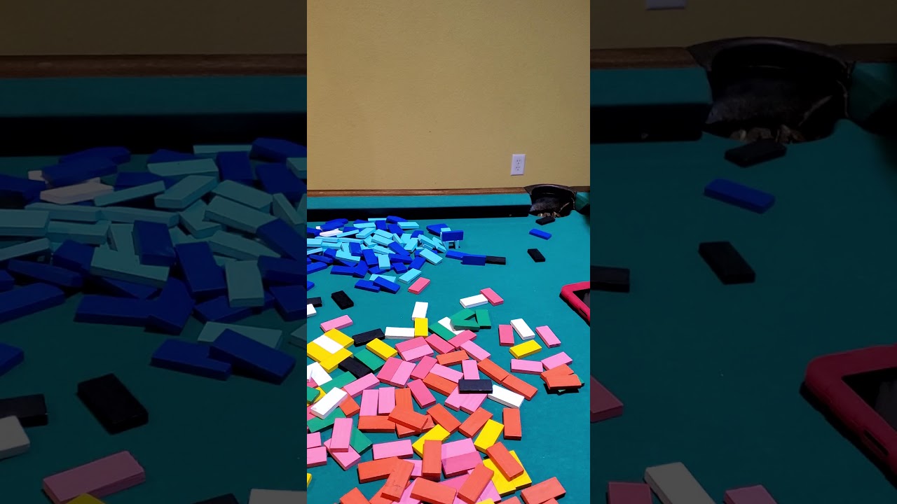Big Domino Wall YouTube