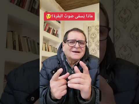 صوت البقرة ما هو