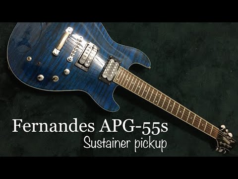Fernandes APG-55S サスティナー搭載 FERNANDES APG-55S See Through Black ソニックス特価 ￥46,800