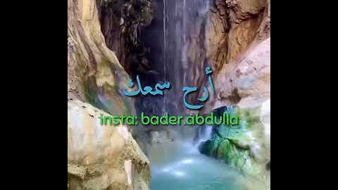 سورة النصر - سعيد الخطيب