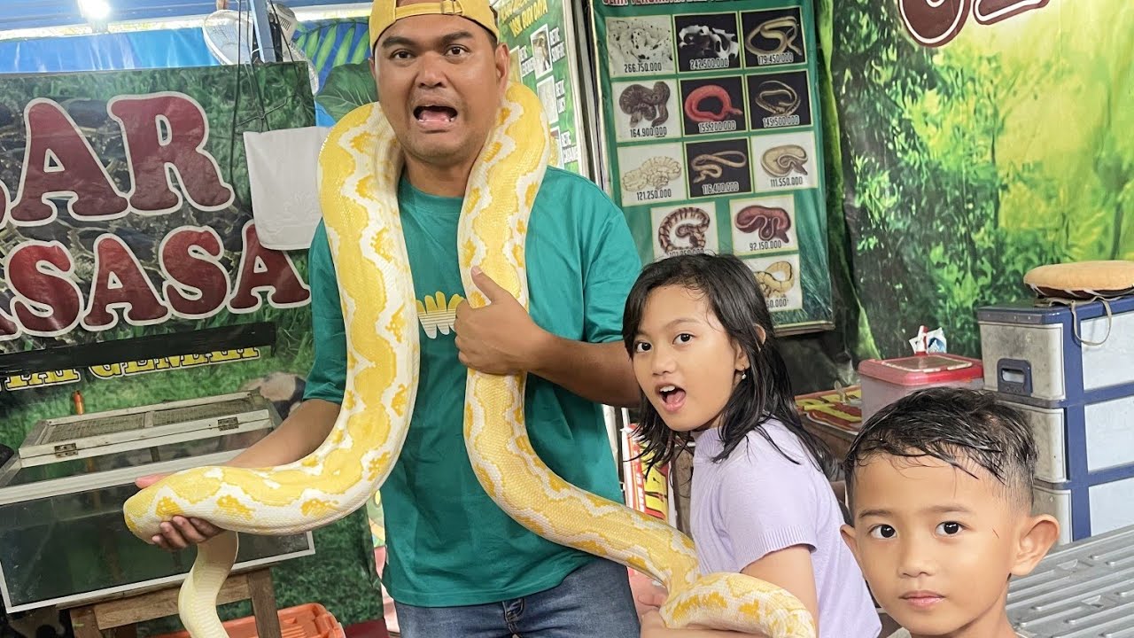 NAIK PERMAINAN EXTREM DAN LIAT ULAR RAKSASA DI BLITAR PARK 🐍 TOUR JAWA PART 3