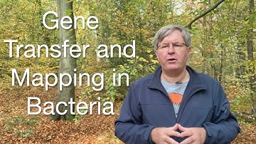 Gene Mapping in Bacteria Using Conjugation and Interrupted Mating