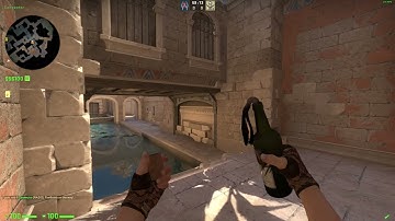 CSGO Anubis Glitched Molotov