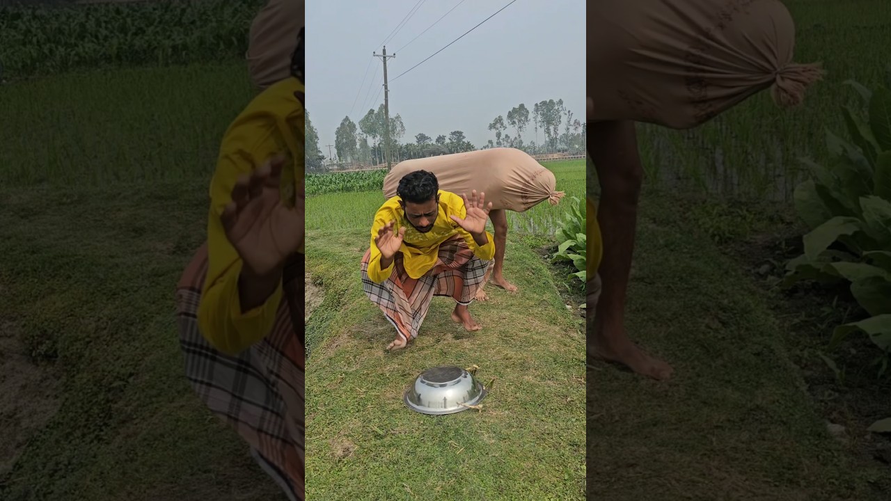 The cow came and overturned the pot 