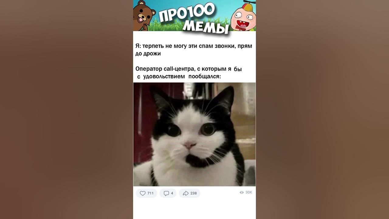 Смешные мемы котов без озвучки I kin getz de stains out better den yooz." Very cute dogs, Cats, Funny cats