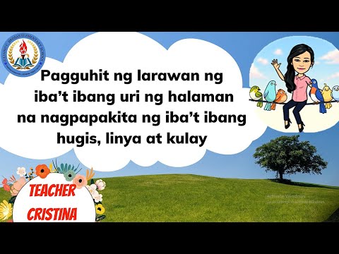 Video: English Oak (36 Na Larawan): Paglalarawan Ng Karaniwang Oak, Pangalan Sa Latin, Root System At Dahon, 