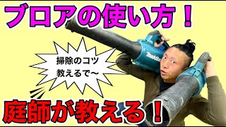 【剪定　道具　マキタ　makita  ブロア】庭師がブロアの使い方を実演解説！お庭のお掃除が楽しくなる！