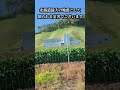 震度7の熊本地震の8年前に起きた北海道最大の地震を知っていますか?