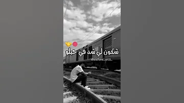 شايف طريقي والطابلو تيكتوك أغاني راي Dz Tiktok Tlemcen الجزائر Phobia 