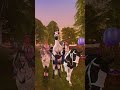 #horses#sso#starstable#starstableonline#horsegame#gaming#trend#cheval#chevaux