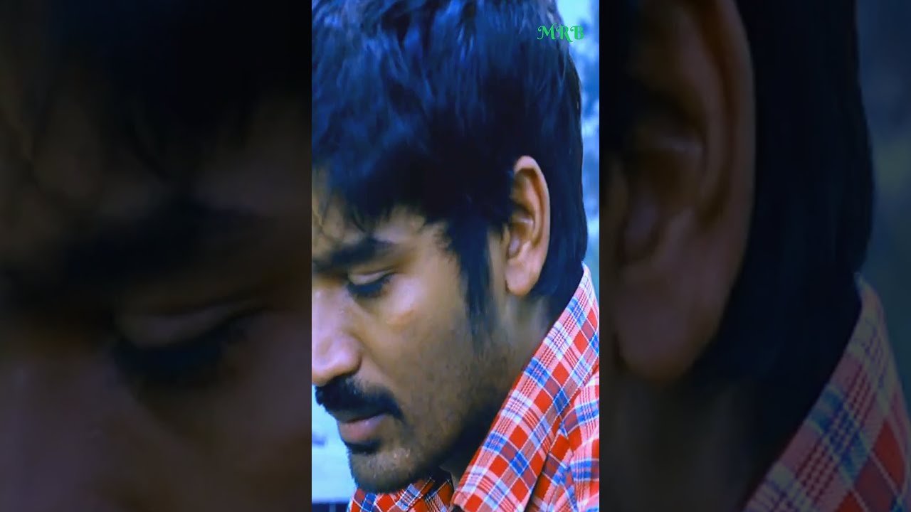 Thodari