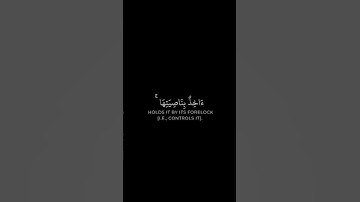 إني توكلت على الله | سورة هود  | القارئ محمد هشام