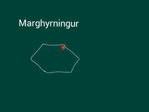 Marghyrningur