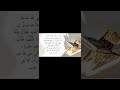 أسباب النزول سبب نزول سورة النساء الآيه 88 اكسبلور قرآن القرآن الكريم ترند لايك مصر الاردن 